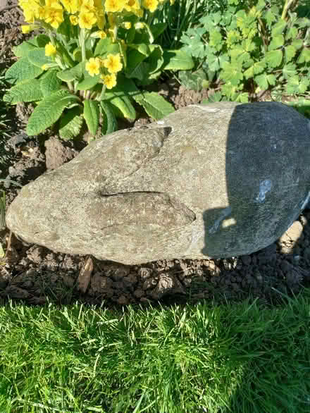 Photo of free Old concrete Rabbit (California DE22) #1