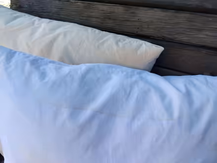 Photo of free 2 x 27" feather cushion pads (CT10 Broadstairs) #3