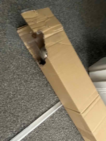 Photo of free Dunelm Curtain Rail 210-360cm (N5) #2