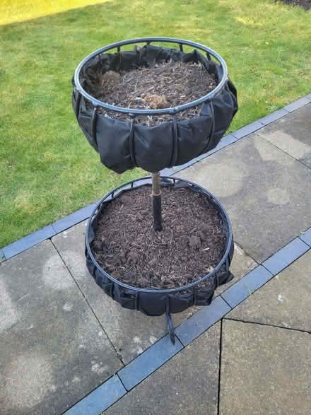 Photo of free Planter (Warden Hill GL51) #1