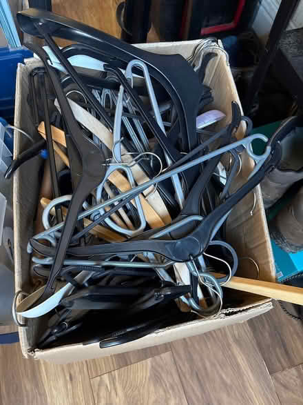 Photo of free Box of clothes hangers (Five Ashes, Mayfield TN20) #1