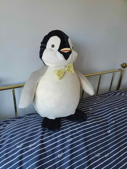 Photo of free Large cuddly penguin soft toy (Amersham) #1