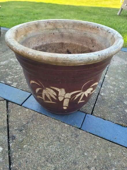 Photo of free Plant pot 6 (Warden Hill GL51) #1