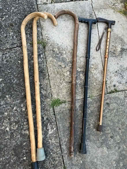 Photo of free Walking sticks (Twerton) #1