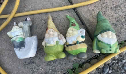 Photo of free garden gnomes c6” height (IG10 high beech) #1