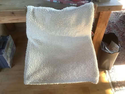 Photo of free Cat hammock (Burleigh GL5) #1