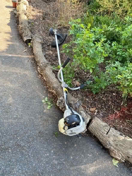Photo of free Garden strimmer (Westham BN24) #1
