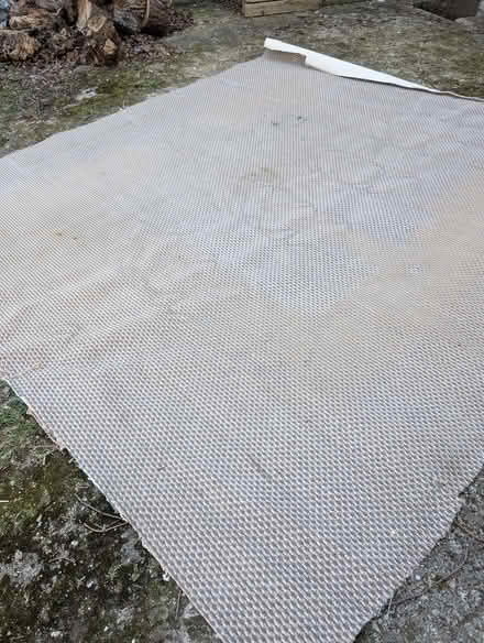 Photo of free Old Fabric-Backed Carpet 3m x 2.8m (Mold CH7) #2