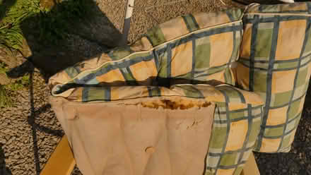 Photo of free Garden recliner chairs (Silverdale LA5) #4