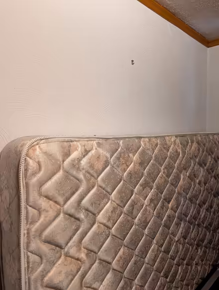 Photo of free Queen Mattress (Central BBL) #1