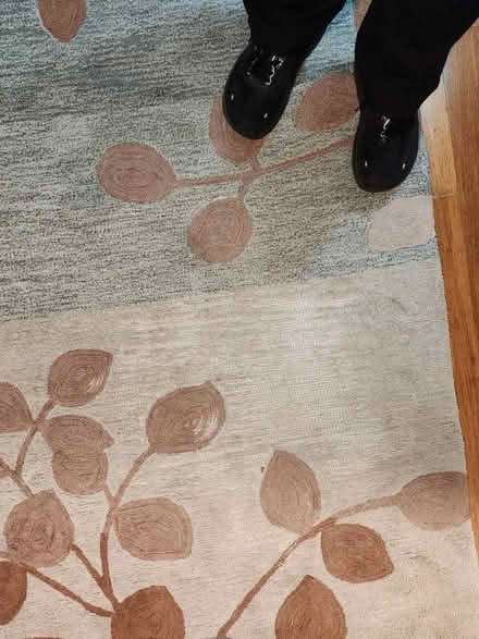 Photo of free Well Loved Rug (Palm Harbor) #2