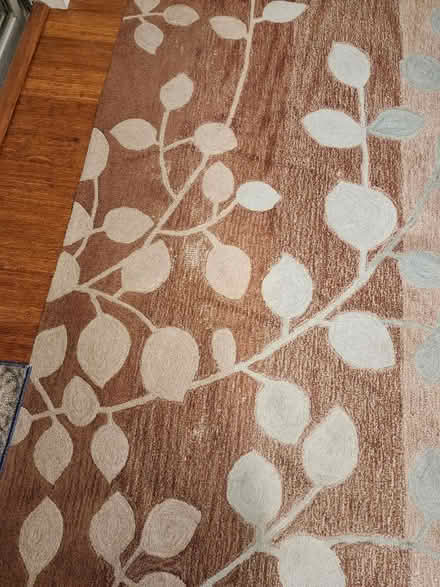 Photo of free Well Loved Rug (Palm Harbor) #3