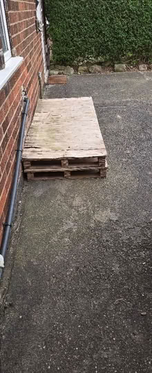 Photo of free 2 pallets (Arnold NG5) #1