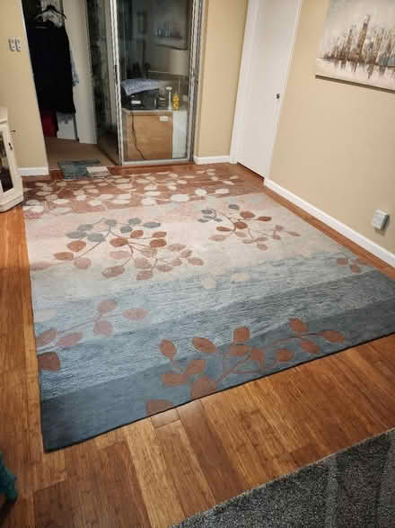 Photo of free Well Loved Rug (Palm Harbor) #1