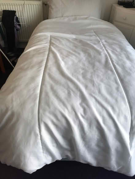 Photo of free Single duvet (Buckland TQ12) #1