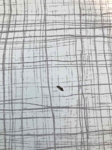 Photo of free Vintage 1950s Formica Sheet (Buxworth SK23) #4
