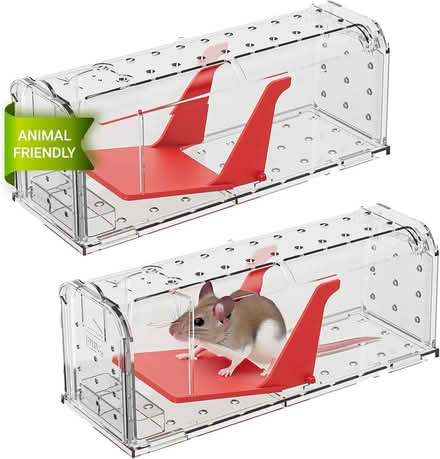 Photo of Humane mouse trap (Fiveways BN1) #1