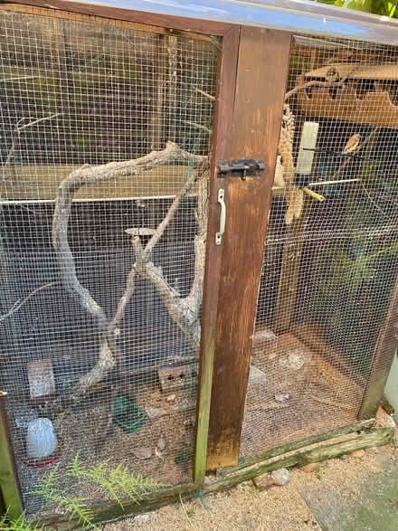 Photo of free Aviary (Springbank GL51) #2