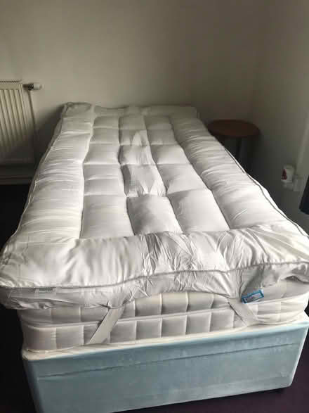 Photo of free single Mattress toper (Buckland TQ12) #1