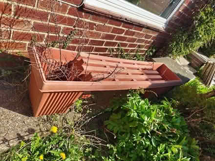 Photo of free Plastic terracotta planter seating. (New York NE29) #1