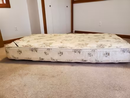Photo of free Twin box spring mattress (Ravenna) #1