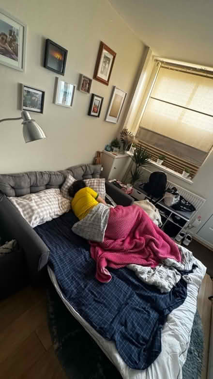 Photo of free Sofa Bed (SE20 7LH) #3
