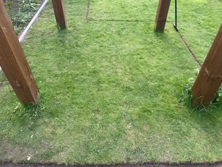 Photo of free Approx. 6 sq metres of good quality lawn/ turf. (Hellesdon NR6) #1