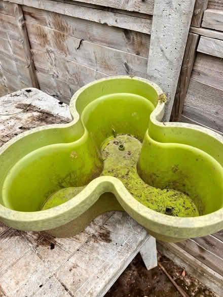 Photo of free garden pots (Panshanger AL7) #1