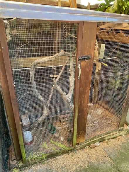 Photo of free Aviary (Springbank GL51) #1