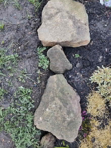 Photo of Large Garden stones (Chaddesden DE21) #1