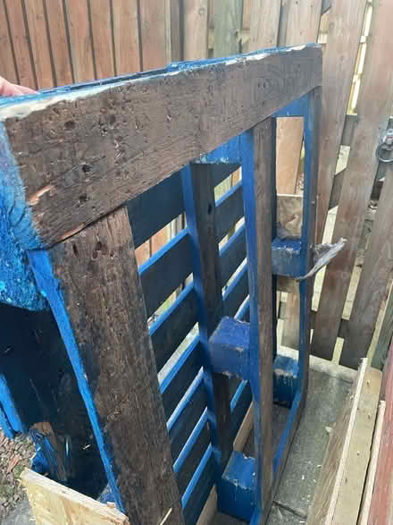 Photo of free Wooden pallet (blue) (Carlisle CA1) #2