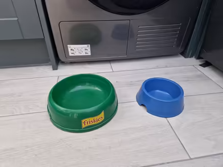 Photo of free Food plates (Harlow South CM18) #1