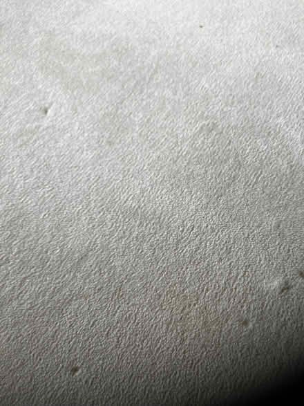 Photo of free Carpet (Huntington CH3) #1
