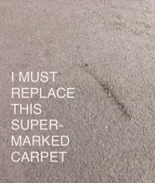 Photo of carpet (Old Woking GU22) #1