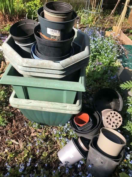 Photo of free Lots of pots (Ely CB6) #1
