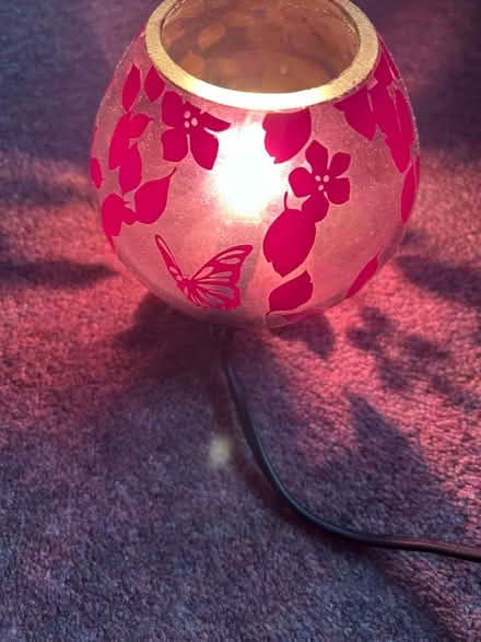 Photo of free Light (Funtley PO17) #1