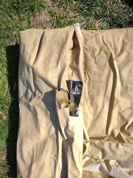 Photo of free Tent (Withdean BN1) #4