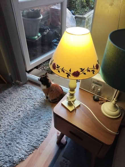 Photo of free Lamp Shades and Table Lamp (Bootle) #2