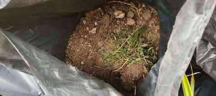 Photo of free Bags with a topsoil and rubble mix - good a base layer (Surrenden BN1) #3