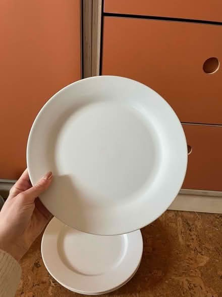 Photo of free Sainsbury’s large plates (Ruskin Park SE5) #2