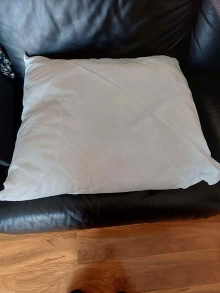 Photo of free Pillow (Royal Leamington Spa CV32) #2