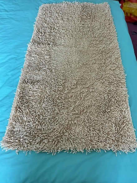 Photo of free Bath mat (Walkley S6) #1