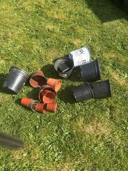 Photo of free Plant Pots (Norbury CR7) #2