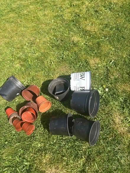 Photo of free Plant Pots (Norbury CR7) #3