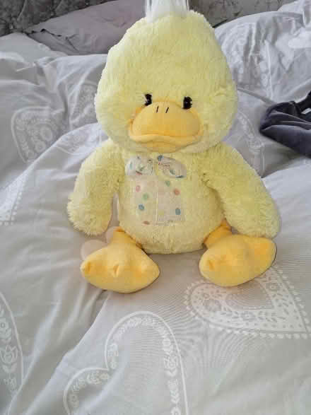Photo of free Easter chick cuddly toy (Malvern Link WR14) #1