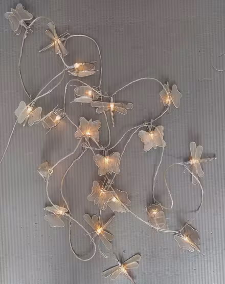 Photo of free String of Lights (not led) (Lower Walkley S6) #1