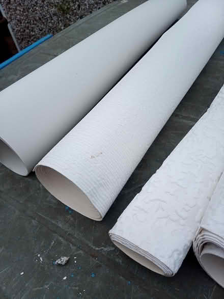 Photo of free Wallpaper and Superfresco paper (Lawnswood, Leeds LS16) #3
