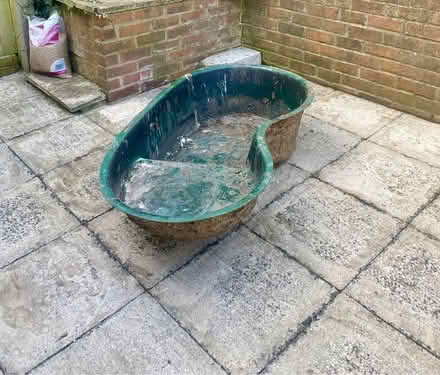 Photo of free Pond - kidney shaped (Brighton BN1) #1