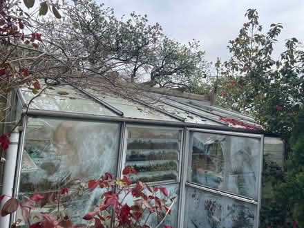 Photo of free Greenhouse (Cheltenham GL52) #2