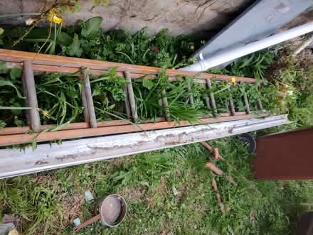 Photo of free Wooden ladder (Holywell) #2